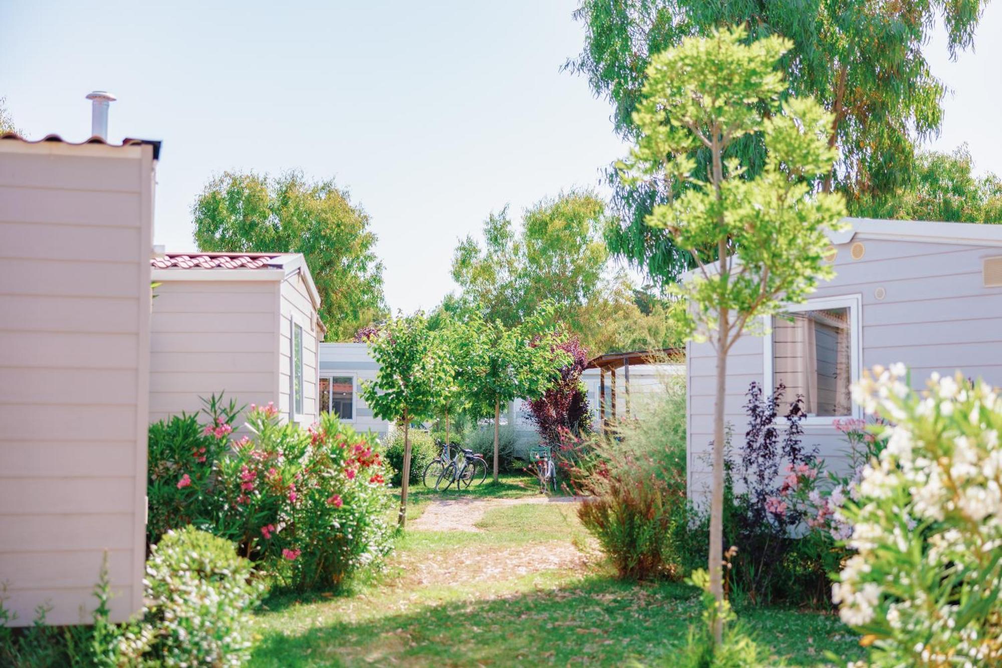 Toscana Bella Camping Village Vada Exterior photo