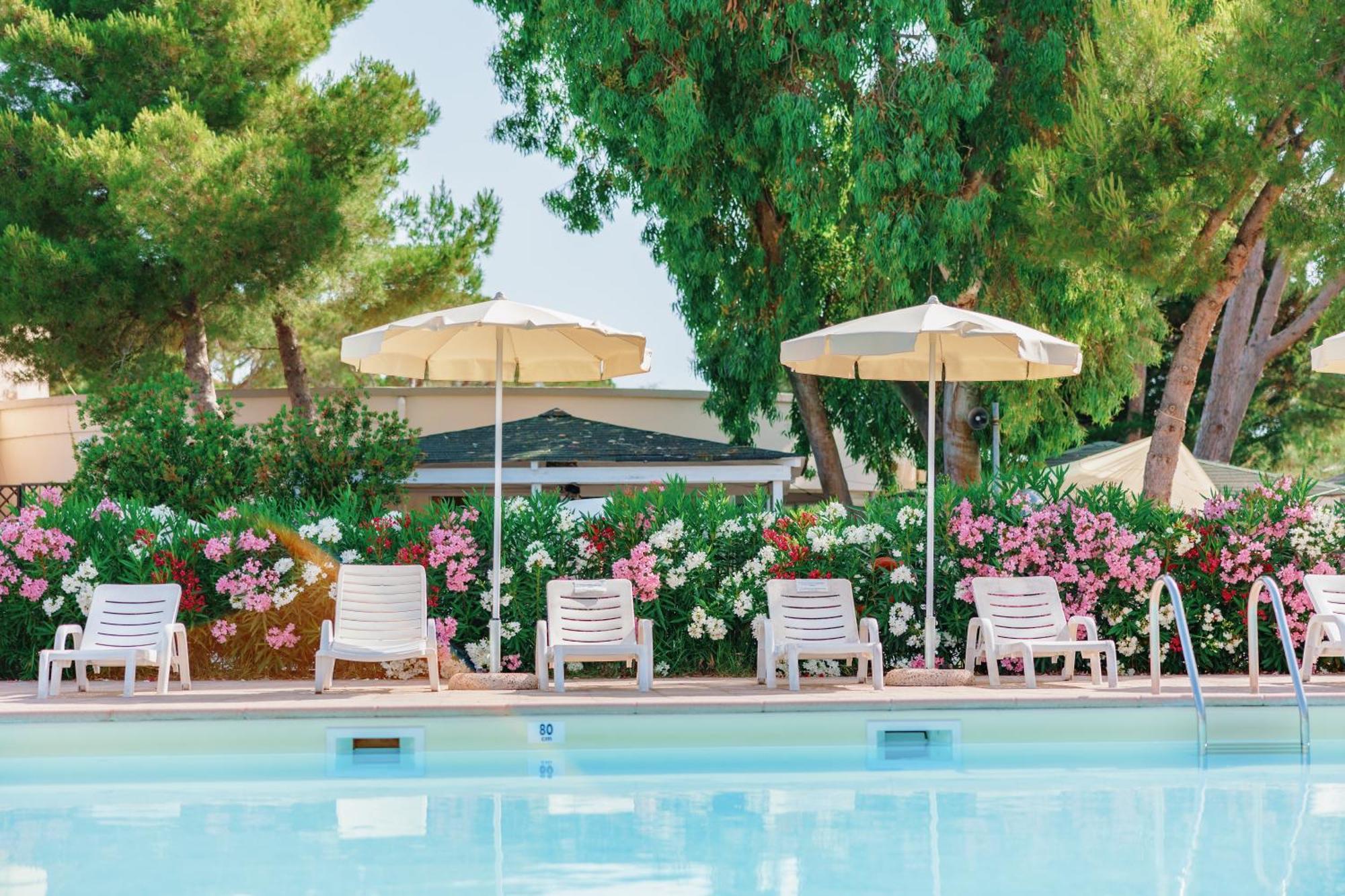 Toscana Bella Camping Village Vada Exterior photo