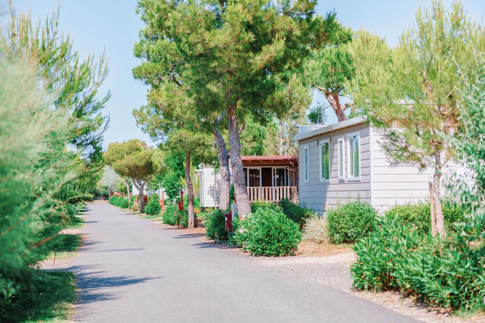 Toscana Bella Camping Village Vada Exterior photo